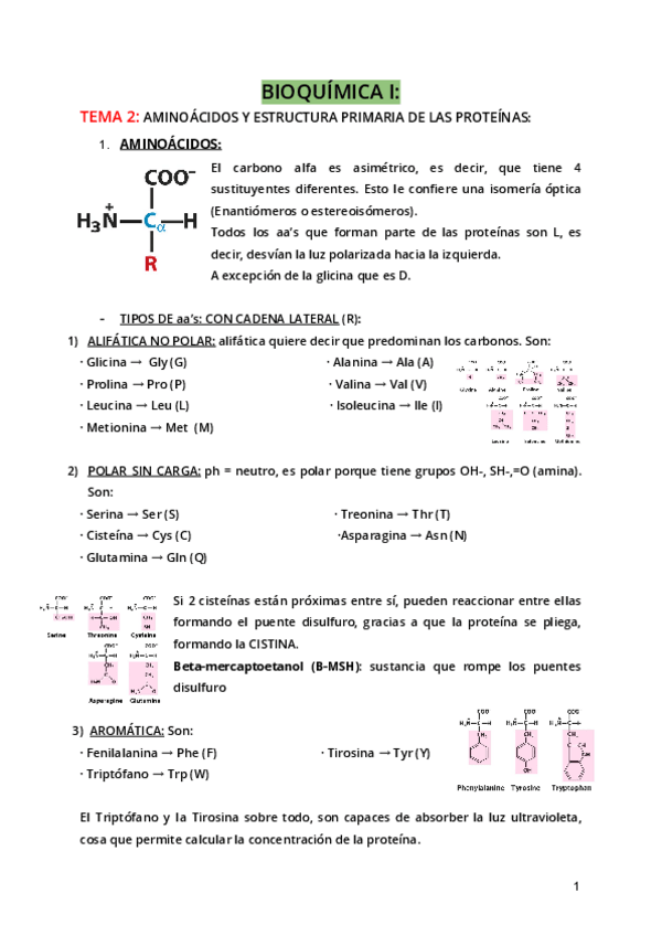 Miniatura del documento Tema 2.pdf