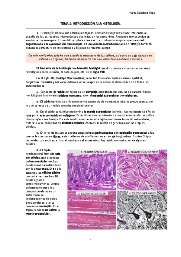 Miniatura del documento TEMA 1 INTRODUCCIÓN A LA HISTOLOGÍA.pdf