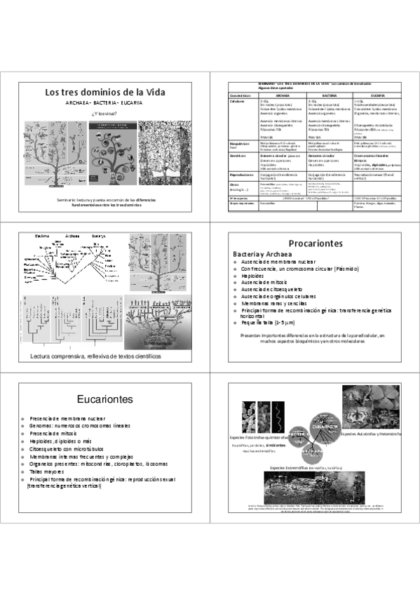 Miniatura del documento 02 Tres dominios.pdf