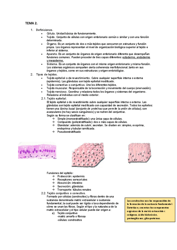 Miniatura del documento TEMA 2.pdf