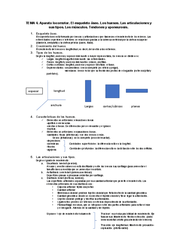 Miniatura del documento TEMA 4.pdf