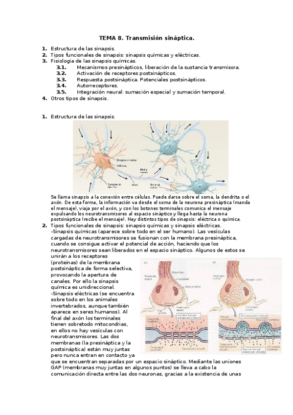 Miniatura del documento TEMA 8.docx