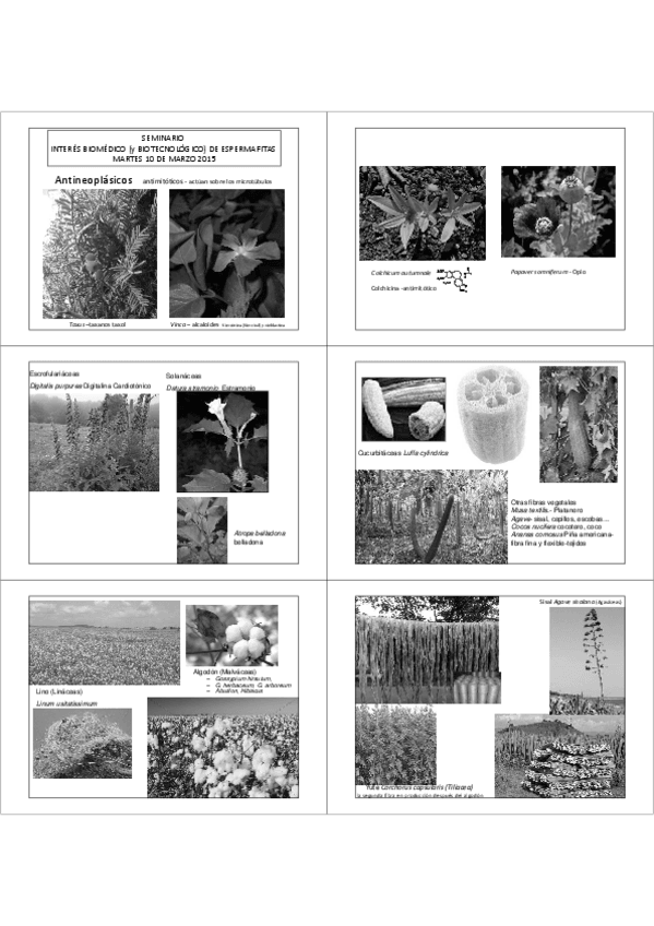 Miniatura del documento 09 2 Interés biomédico.pdf