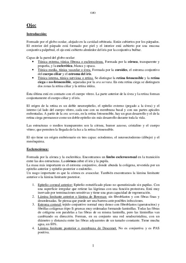 Miniatura del documento 10. Ojo.pdf