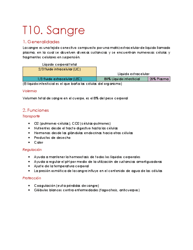 Miniatura del documento T10 Sangre.pdf
