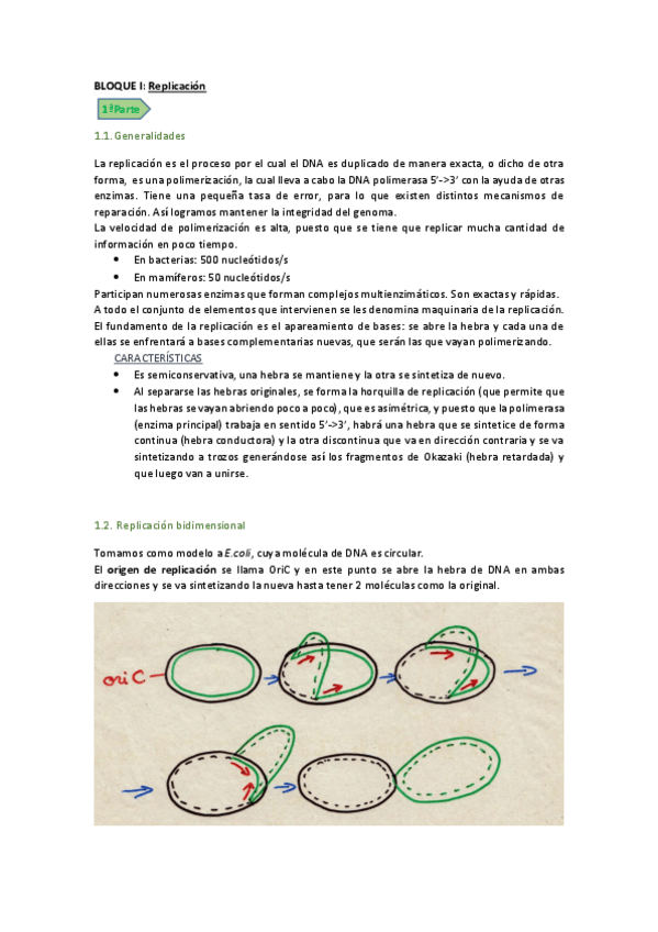 Miniatura del documento BLOQUE I_I.pdf