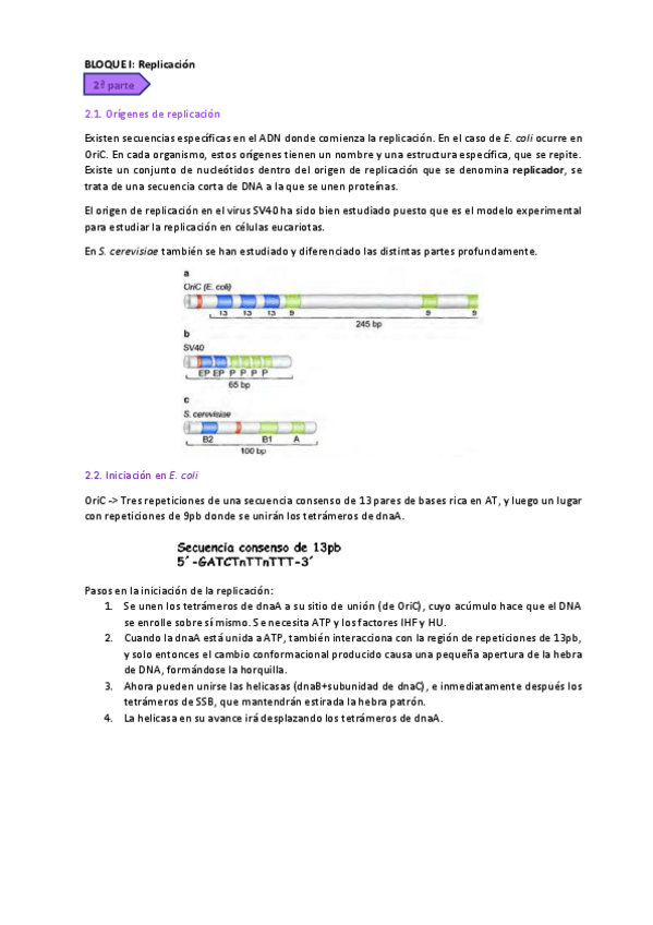 Miniatura del documento BLOQUE I_II.pdf