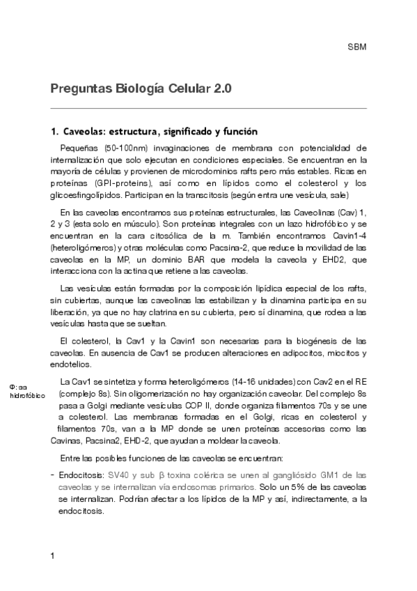 Miniatura del documento *BioCel 2.0.pdf