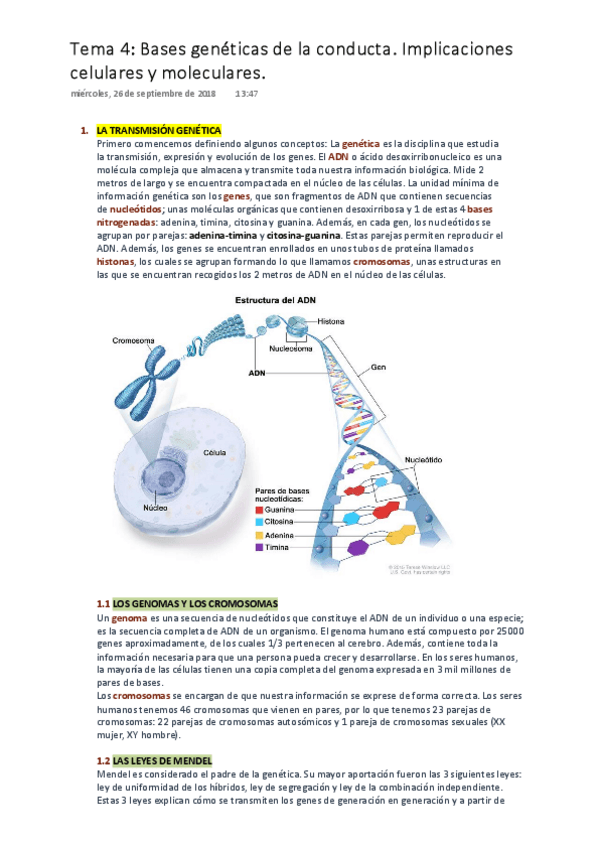 Miniatura del documento PSICOBIOLOGÍA  Tema 4. Bases Genéticas de la Conducta..pdf