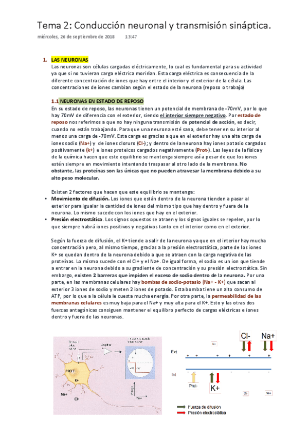 Miniatura del documento PSICOBIOLOGÍA  Tema 2. Conducción Neuronal y Transmisión Sináptica.pdf