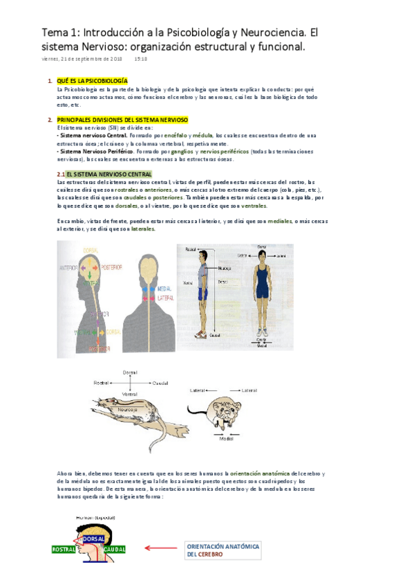 Miniatura del documento PSICOBIOLOGÍA Tema 1. Introducción a la Psicobiología y Neurociencia..pdf