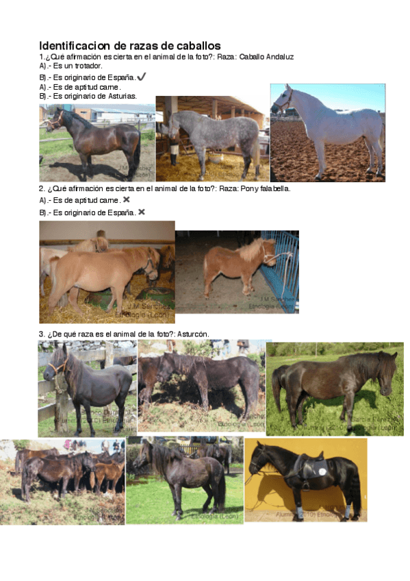 Miniatura del documento Identificacion de razas de caballos .pdf