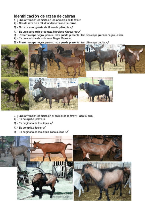 Miniatura del documento Identificación de razas de cabras .pdf