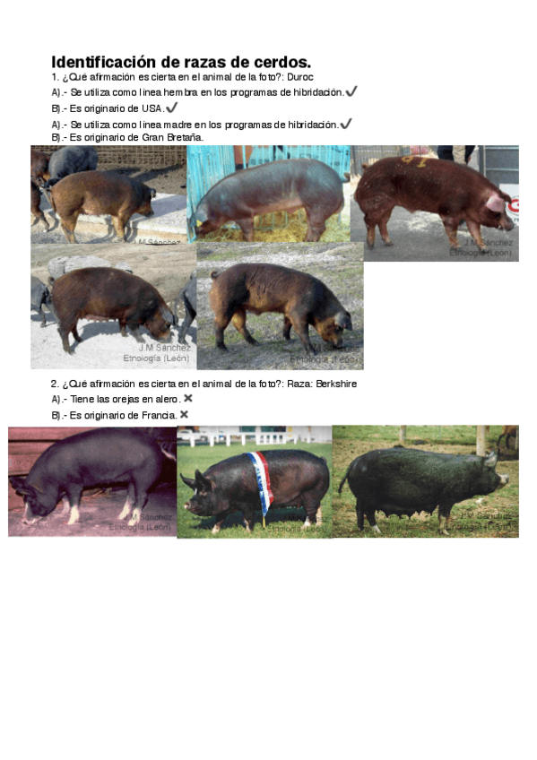 Miniatura del documento Identificación de razas de cerdos.pdf