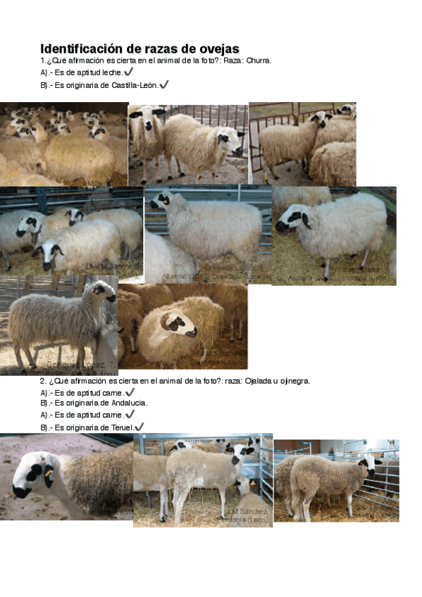 Miniatura del documento Identificación de razas de ovejas .pdf