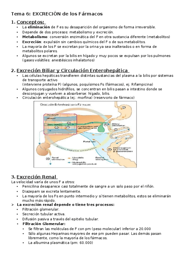 Miniatura del documento Tema 6. Excreción de los  fármacos.docx