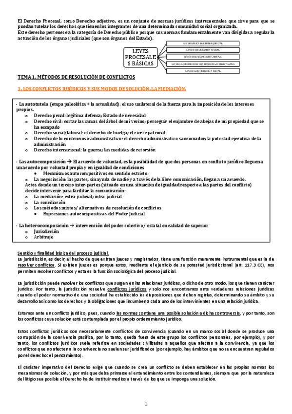 Miniatura del documento Tema 1 (completo).pdf
