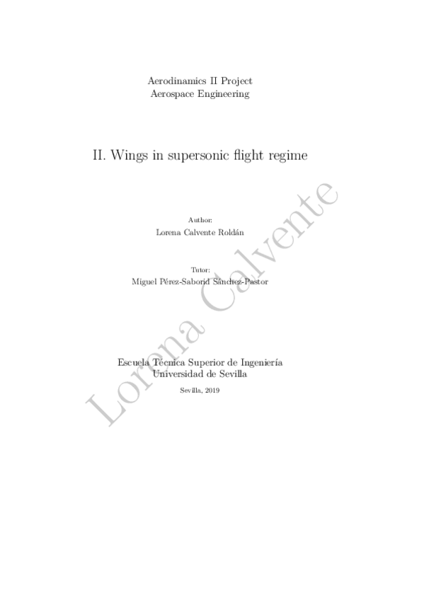 Miniatura del documento Supersonic regime.pdf