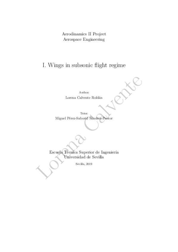 Miniatura del documento Subsonic regime.pdf