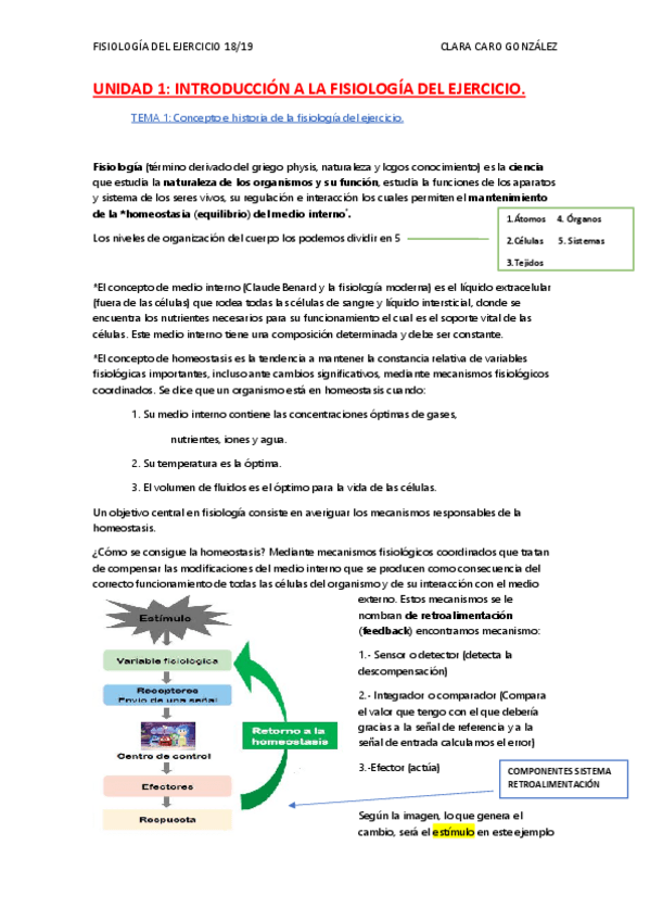 Miniatura del documento UNIDAD 1.pdf