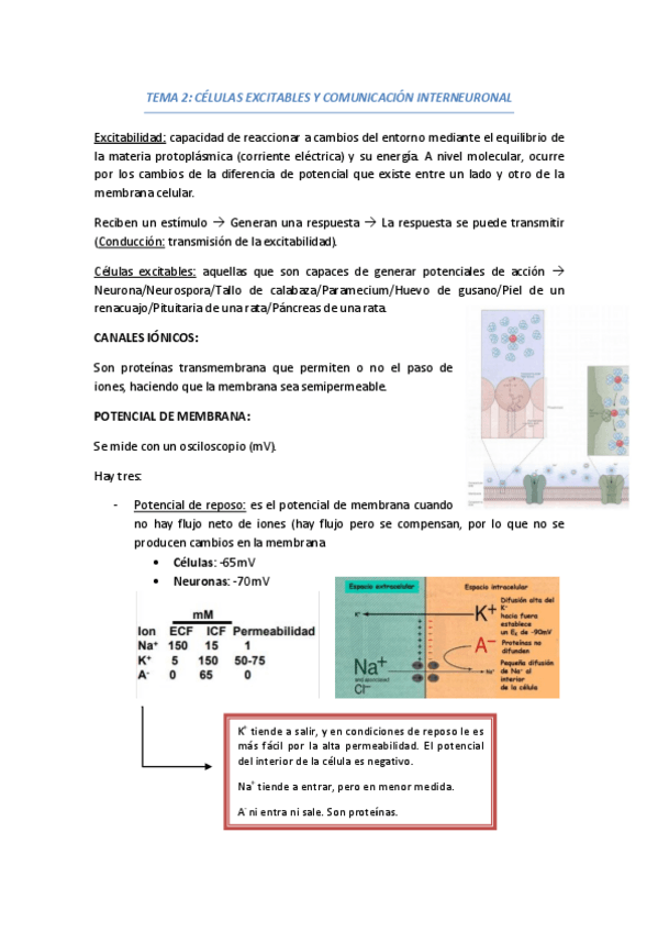 Miniatura del documento TEMA 2 FISIOLOGÍA.pdf