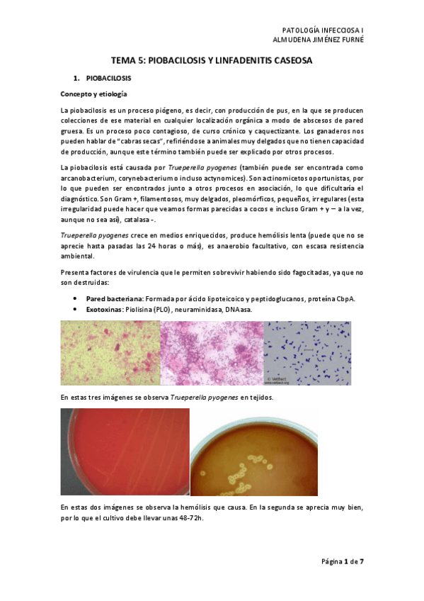 Miniatura del documento Tema 5. Piobacilosis y linfadenitis caseosa.pdf