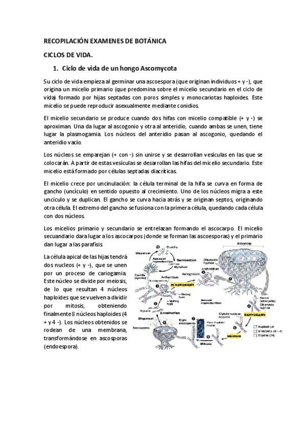 Miniatura del documento RECOPILACIÓN EXAMENES DE BOTÁNICA.pdf