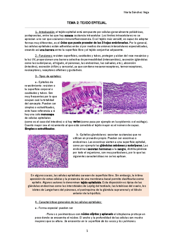 Miniatura del documento TEMA 2 TEJIDO EPITELIAL.pdf