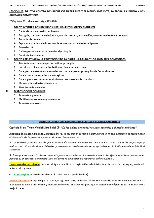 Miniatura del documento DP2_LECCIÓN 25_ANDREA.pdf