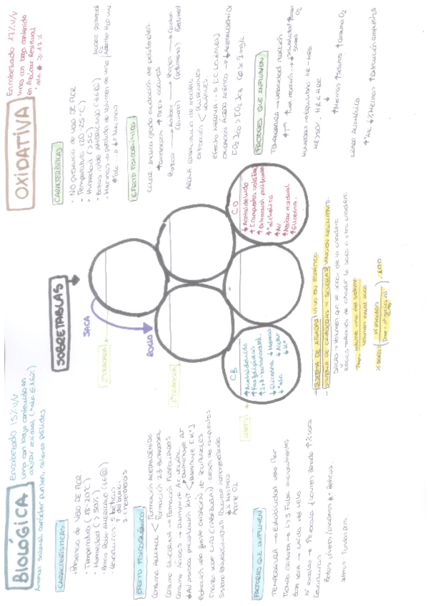 Miniatura del documento DIFERENCIAS ENTRE CO Y CB.pdf