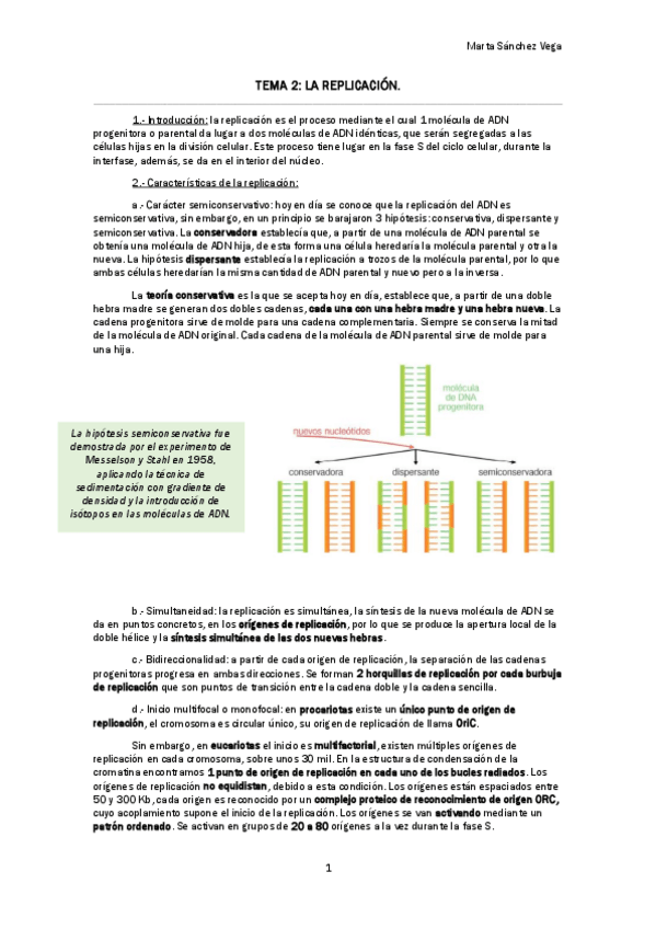 Miniatura del documento TEMA 2 LA REPLICACIÓN.pdf