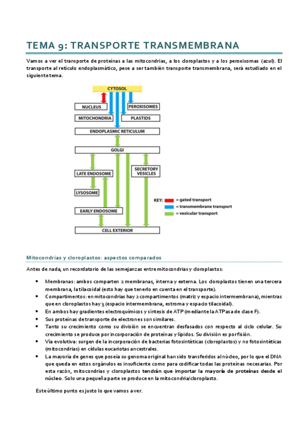 Miniatura del documento Dinámica_Tema 9.pdf