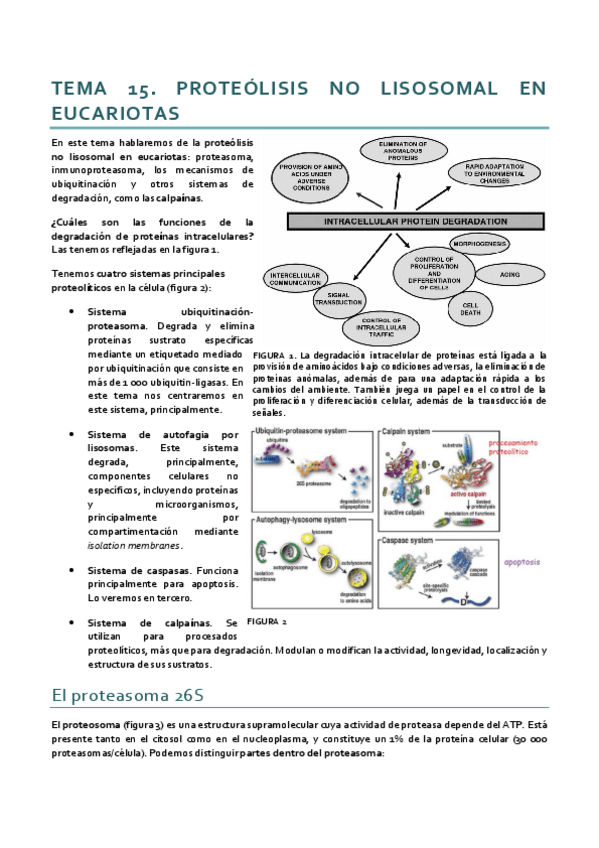 Miniatura del documento Tema 15. Dinámica.pdf