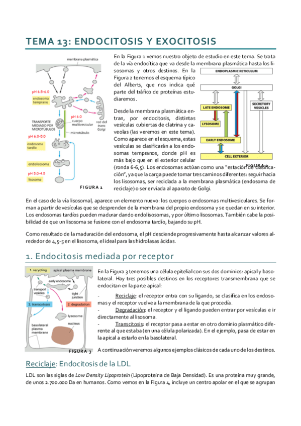 Miniatura del documento Dinámica_Tema 13.pdf