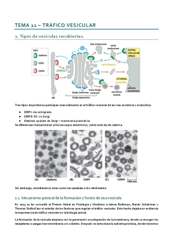 Miniatura del documento Dinámica_Tema 11.pdf