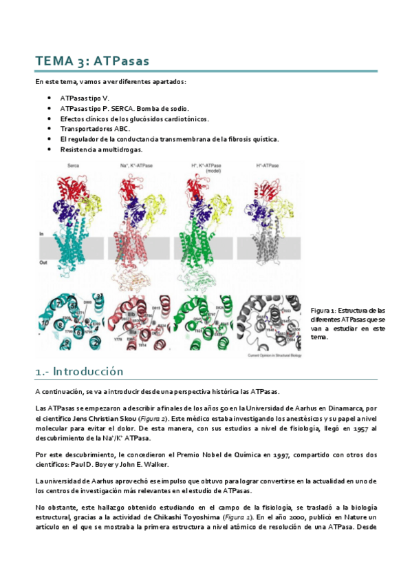 Miniatura del documento Bioenergética_Tema 3.pdf