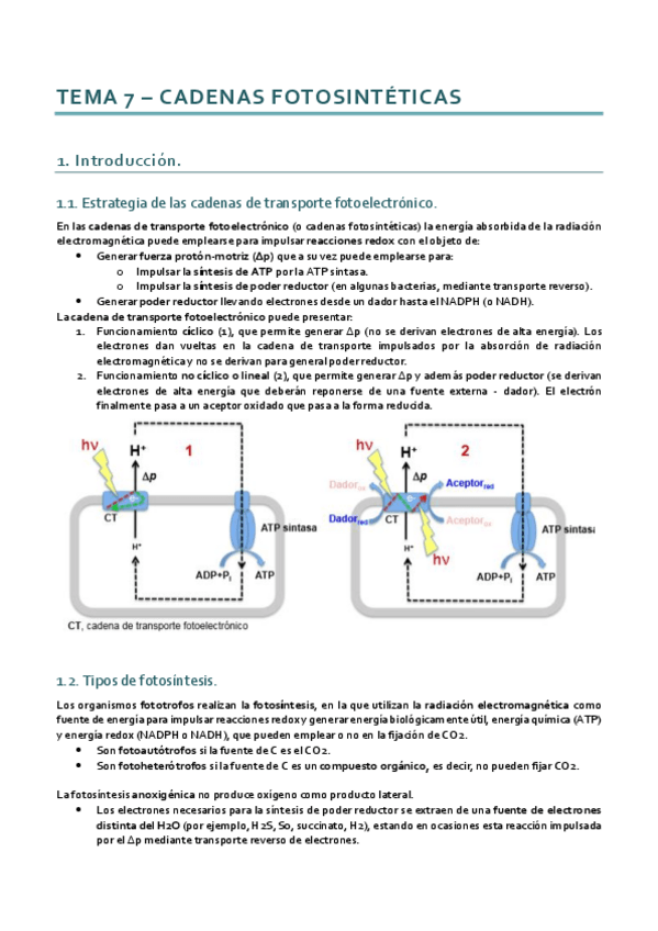 Miniatura del documento Bioenergética_Tema 7.pdf