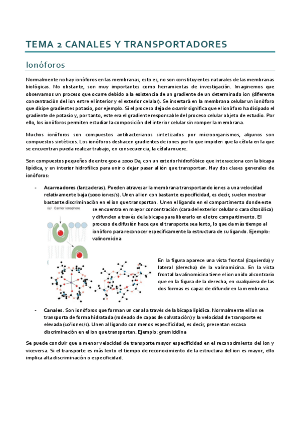 Miniatura del documento Bioenergética_Tema 2.pdf
