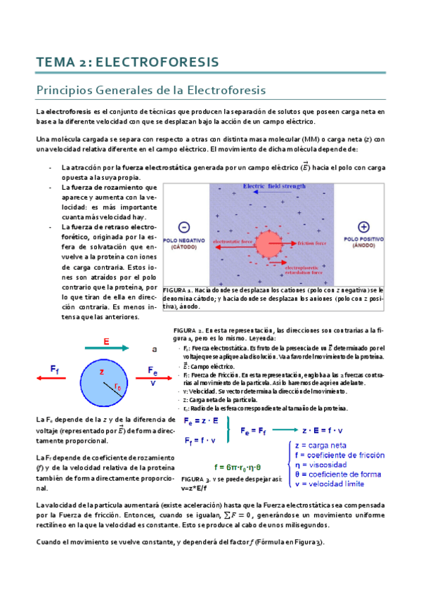 Miniatura del documento Métodos_Tema 2.pdf