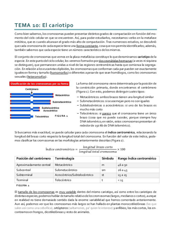 Miniatura del documento Genética_Tema 10.pdf