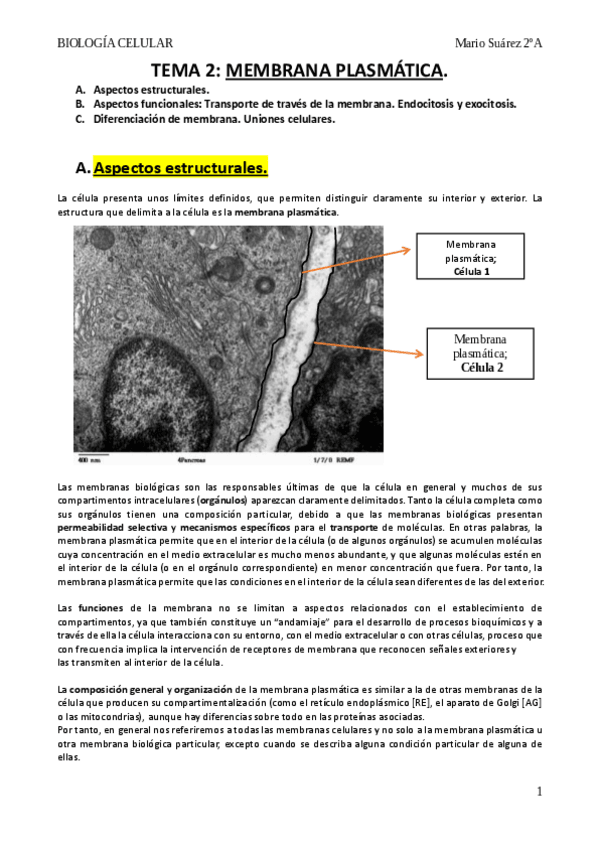 Miniatura del documento tema 2 biología celular-A-B-C.pdf