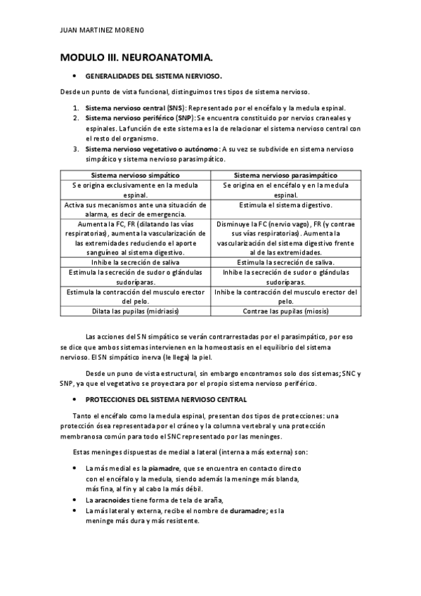 Miniatura del documento III. Neuroanatomia..pdf