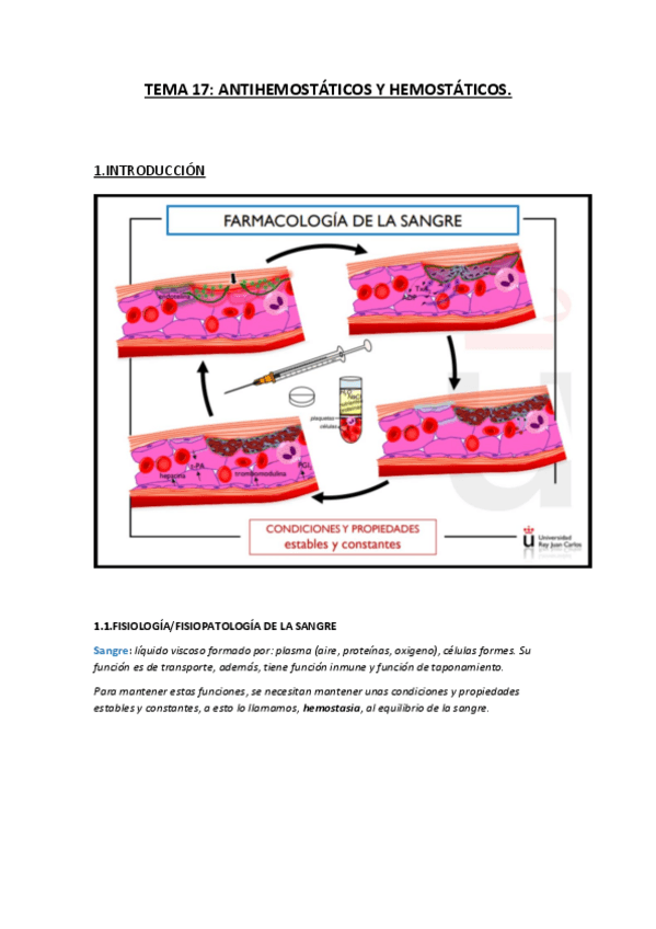 Miniatura del documento TEMA17.pdf