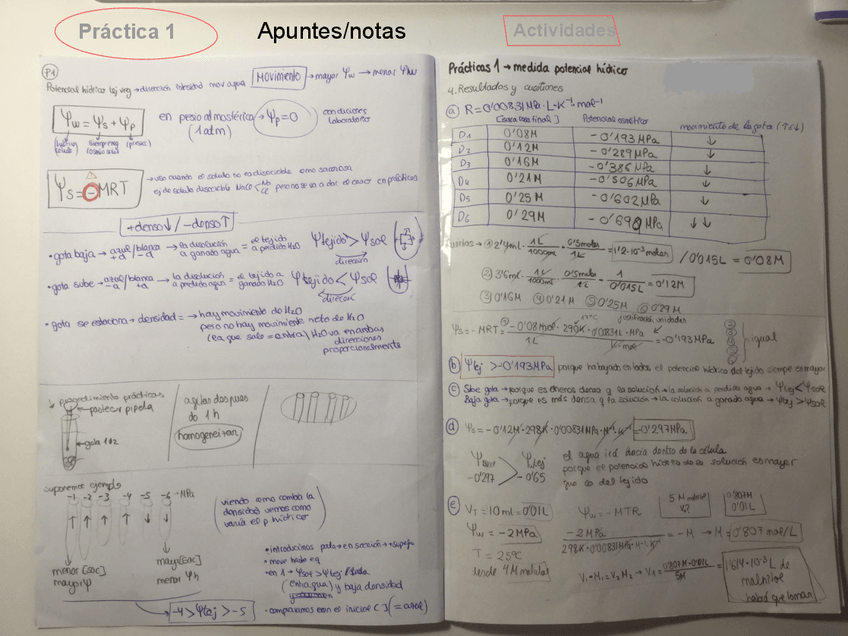 Miniatura del documento Prácticas CUADERNO COMPLETO+RESÚMENES .pdf