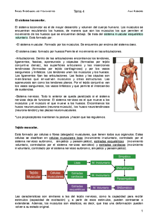 Miniatura del documento Tema 4 Biologia.pdf