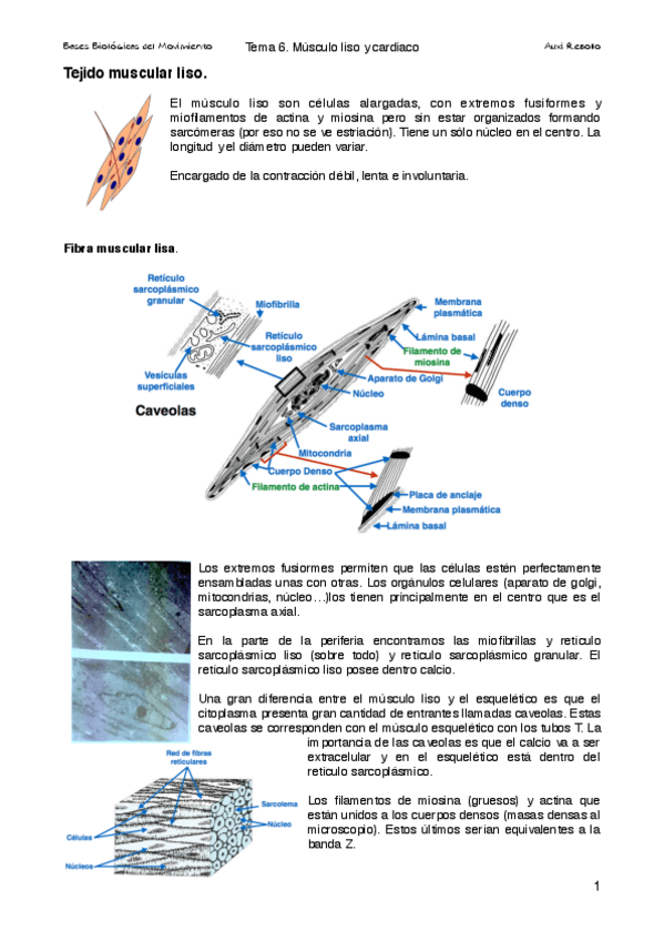 Miniatura del documento Tema 6 bio.pdf