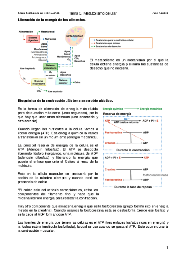Miniatura del documento Tema 5. Metabolismo.pdf