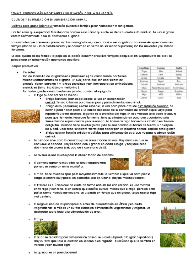 Miniatura del documento Tema 2 Cultivos mas importantes y su relación con la ganaderia.pdf