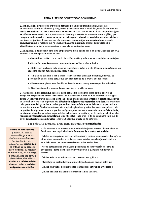 Miniatura del documento TEMA 4 TEJIDO CONJUNTIVO.pdf