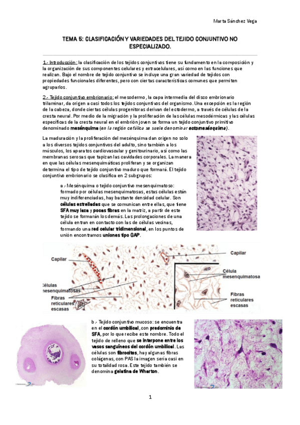 Miniatura del documento TEMA 5 CLASIFICACIÓN Y VARIEDADES DEL TEJIDO CONJUNTIVO NO ESPECIALIZADO.pdf